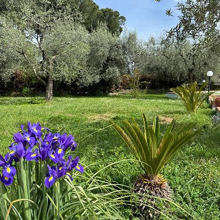 La Piccola Provenza Vila Fiano Romano Exterior foto