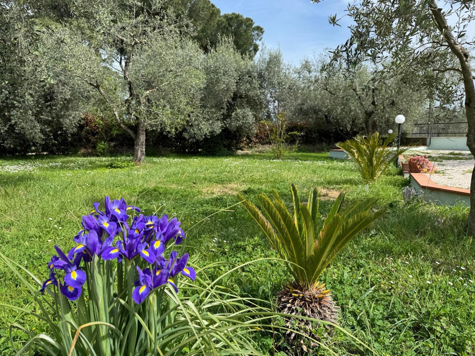 La Piccola Provenza Vila Fiano Romano Exterior foto